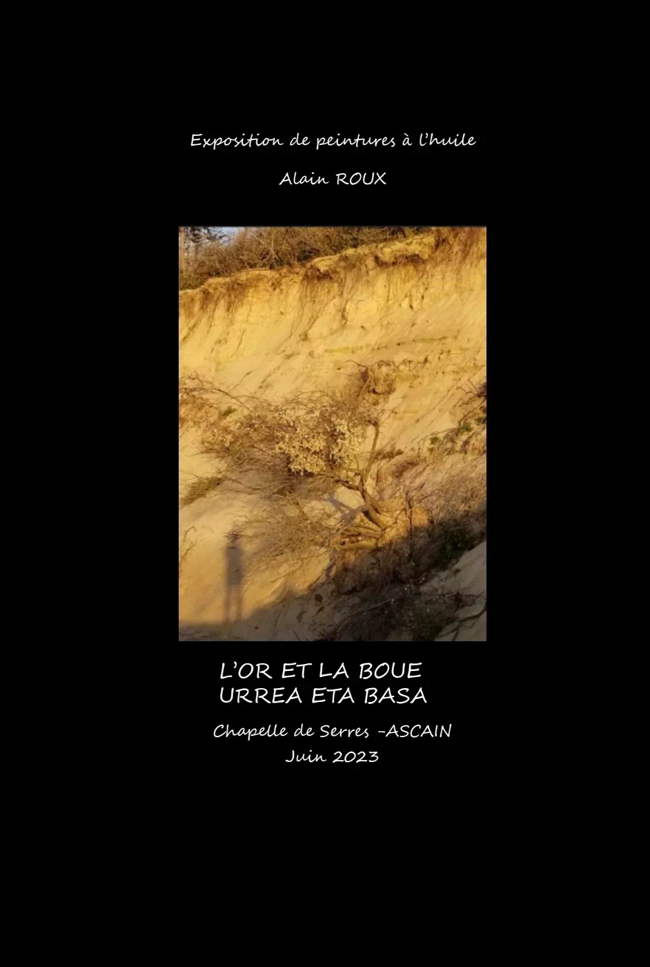 couverture du livre intitulé L'or et la Boue